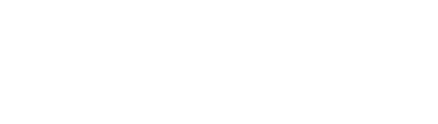 Netelsan